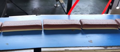 Últimas soluciones de la empresa sobre Historia de éxito: Entrega de la primera barra de proteína de chocolate de tres capas de Argentina para Carles
