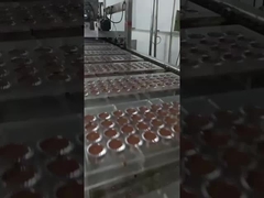 Línea de producción de chocolate