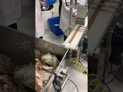 Línea de producción de barra de dátiles con cobertura de cacahuate y coco