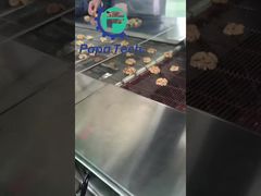 nuez con cobertura de chocolate