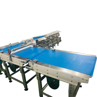 Buen precio Equipo de embalaje de línea de clasificación automática para máquinas de envasado en flujo de alimentos en línea