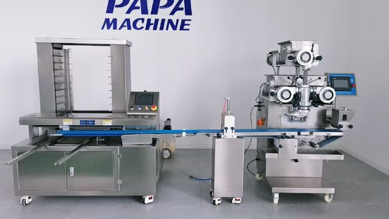 Buen precio Sistema de equipo de organización de bandejas para máquina cortadora de barras de dátiles totalmente automática en línea